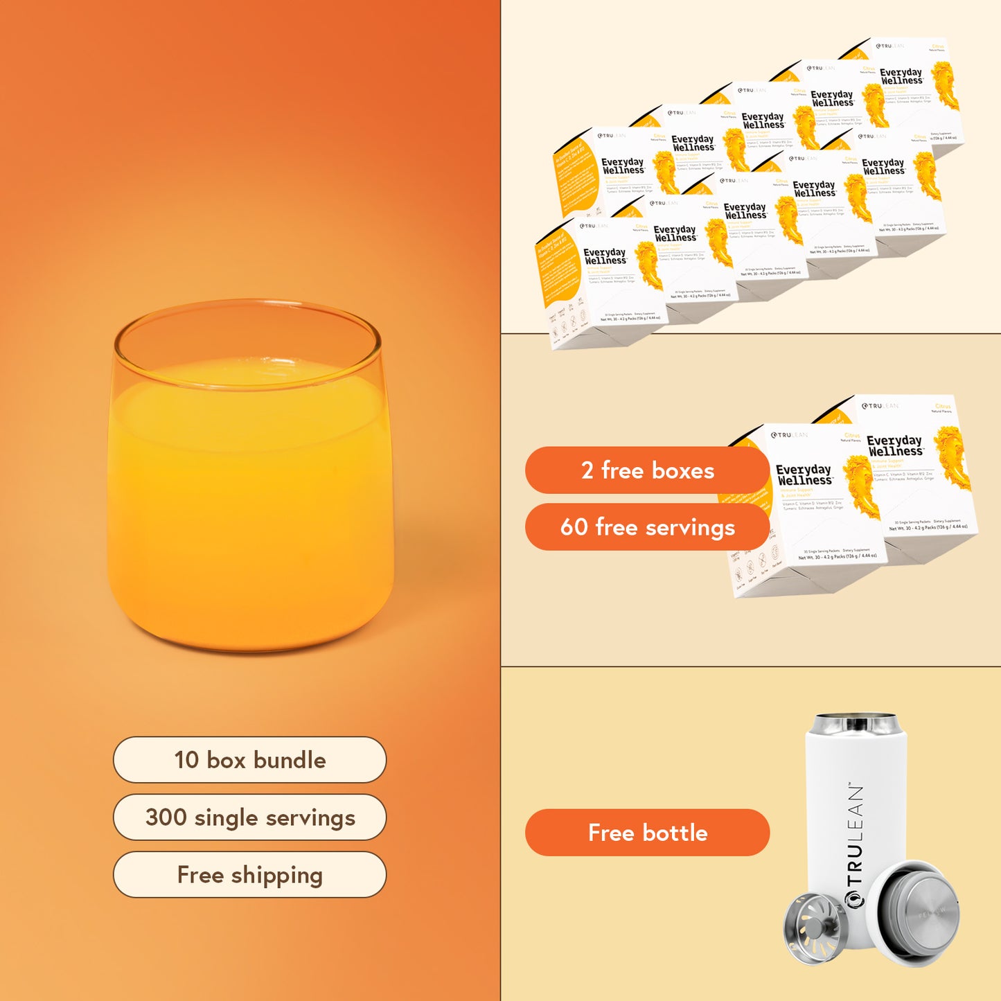 Everyday Wellness™ - 10 Box Bundle
