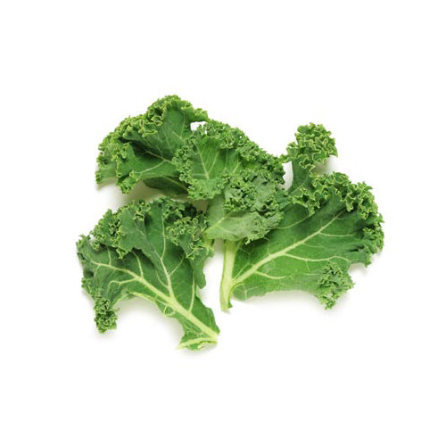 Everyday Greens™ USDA Organic Powdered Greens Trulean Nutrition